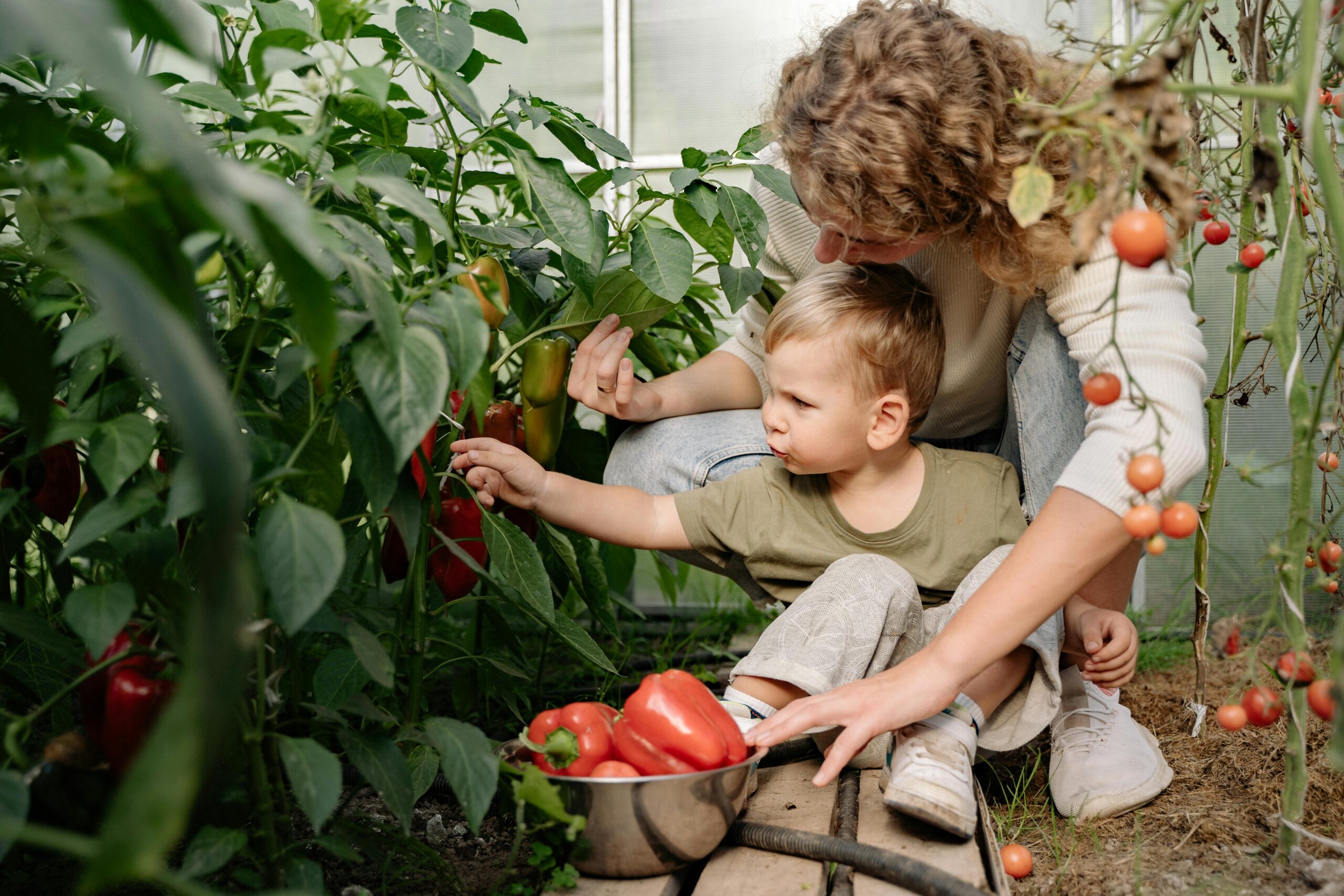 jeune-dame-qui-recolte-des-légumes-avec-sonbébé