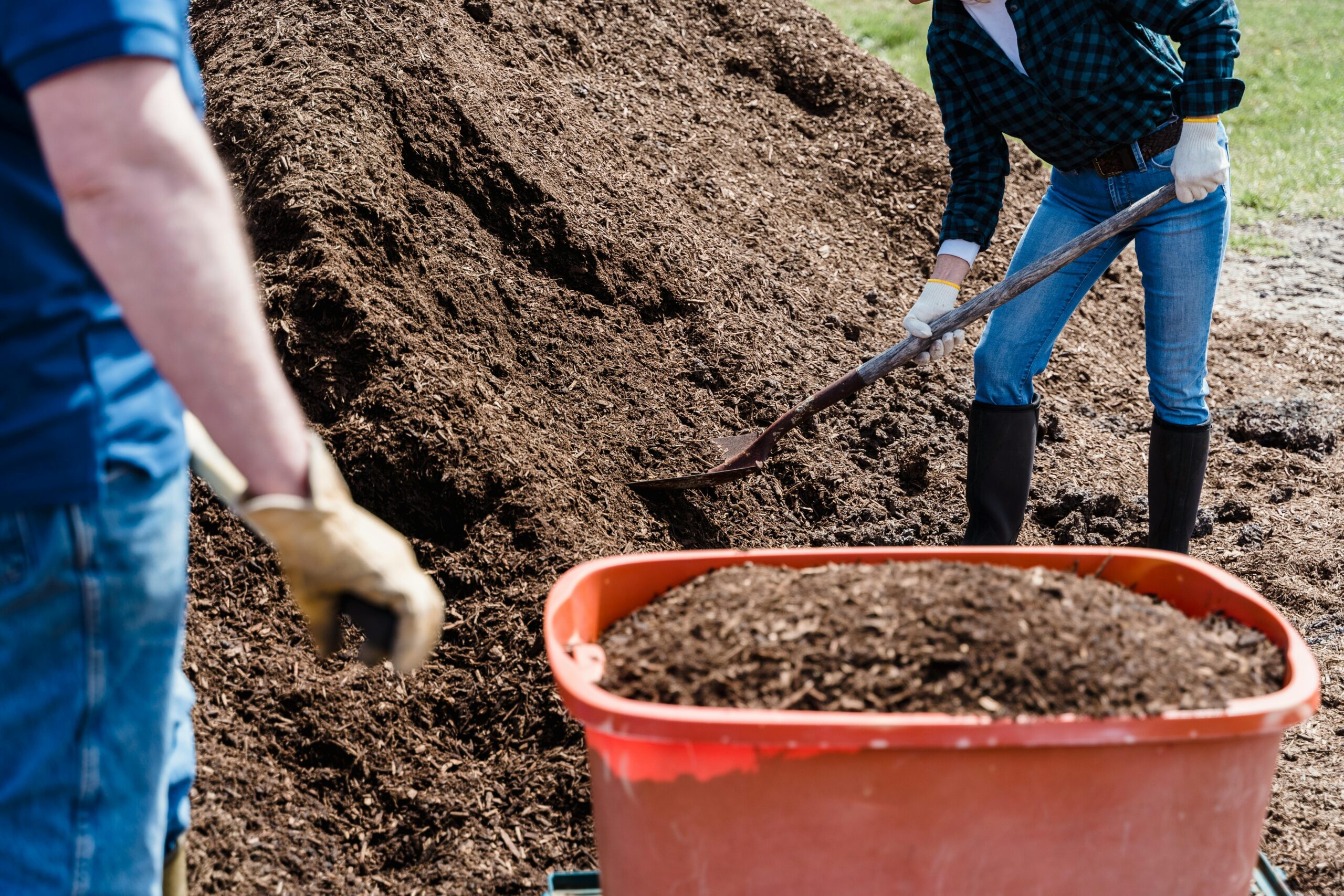 preparation-de-la-terre-pour-plan-potager-debutant